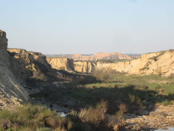 Visitar en primavera las Bardenas Reales